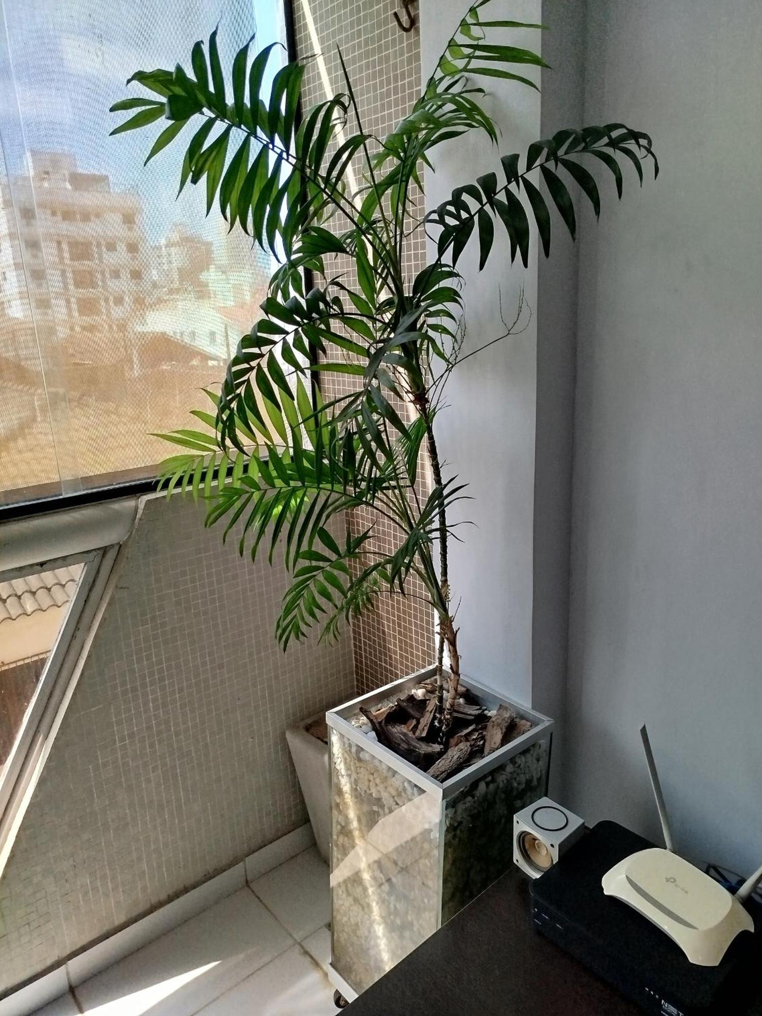 Apartamento Impecavel Na Enseada Гуаружа Екстериор снимка